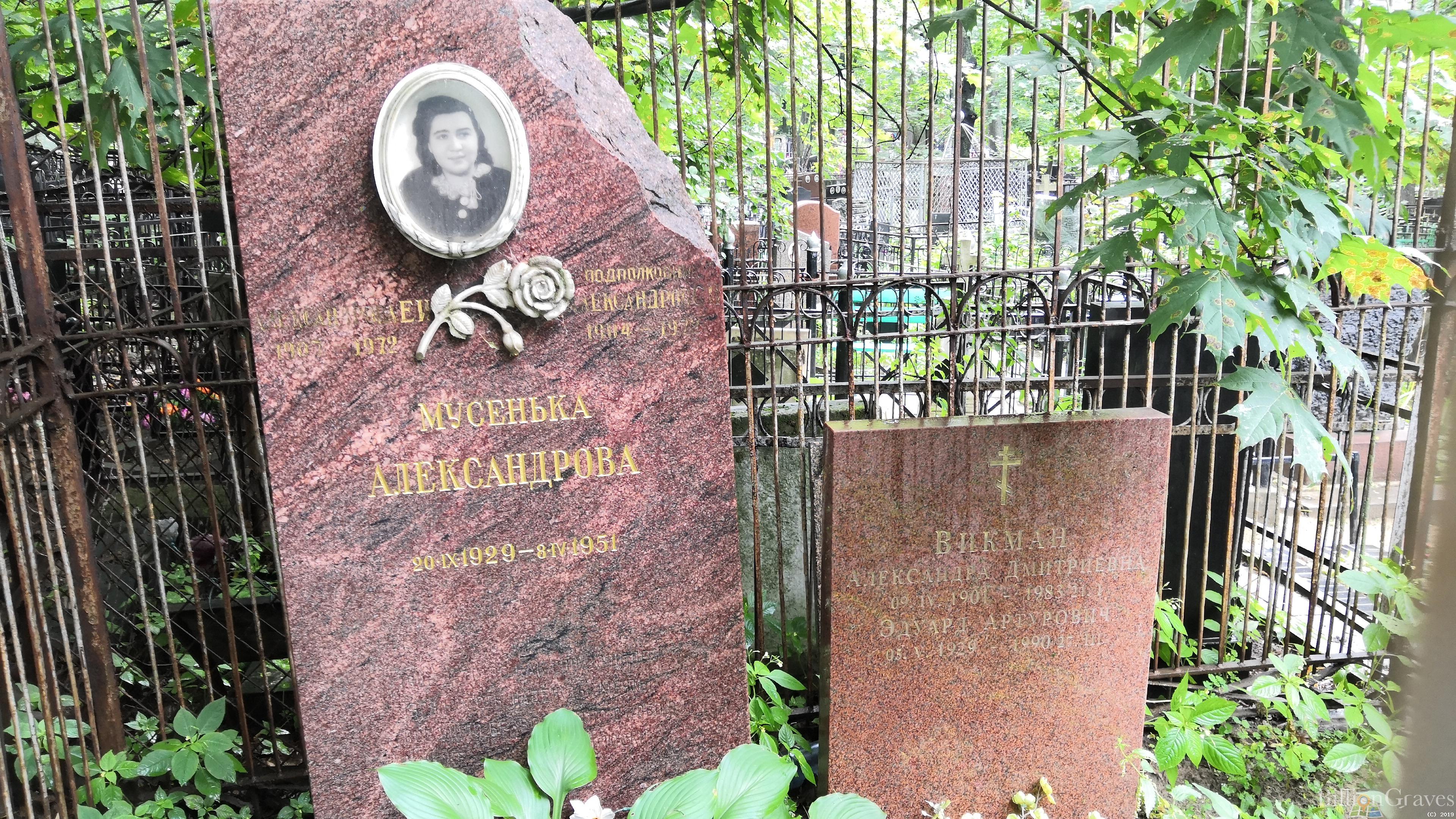 Викман Александра Дмитриевна