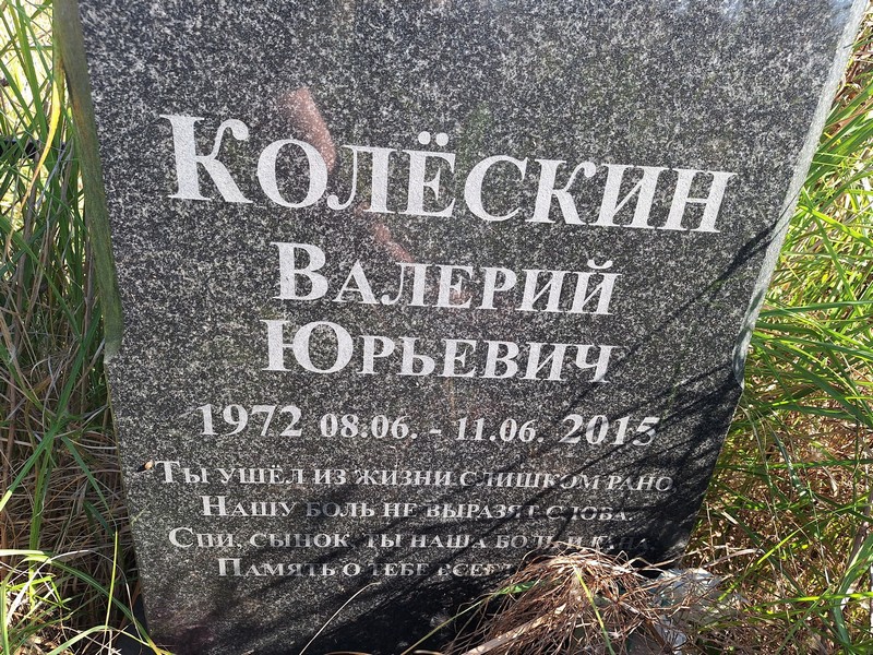 Колескин