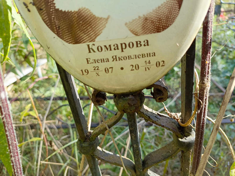 Комарова