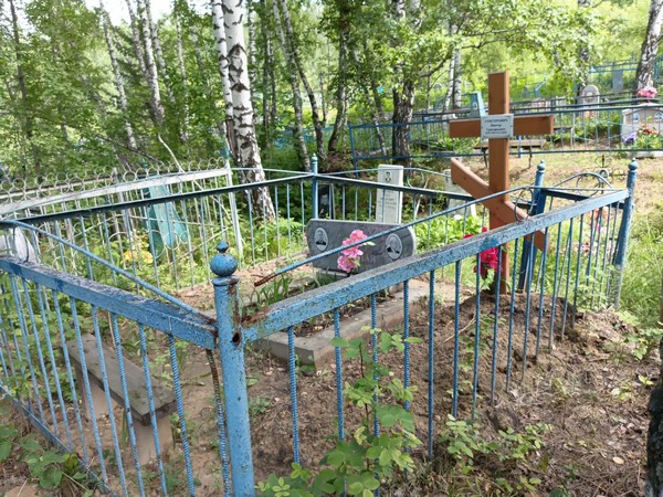 Григорович Виктор Григорьевич