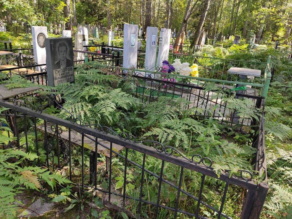 Сидоров Виктор Владимирович