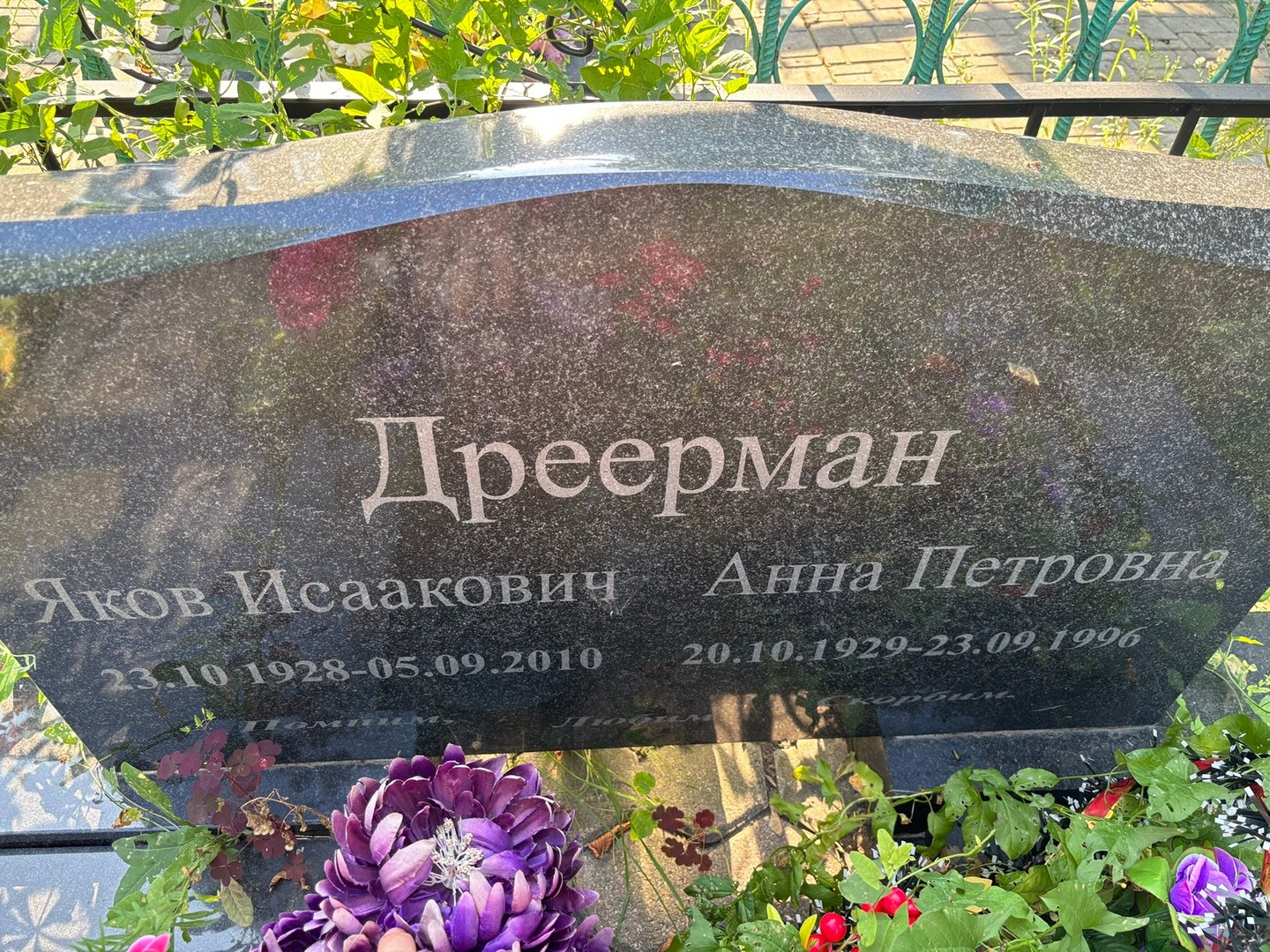 Дреерман