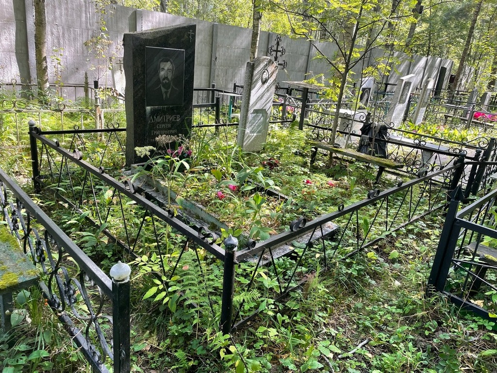 Дмитриева Мария Александровна