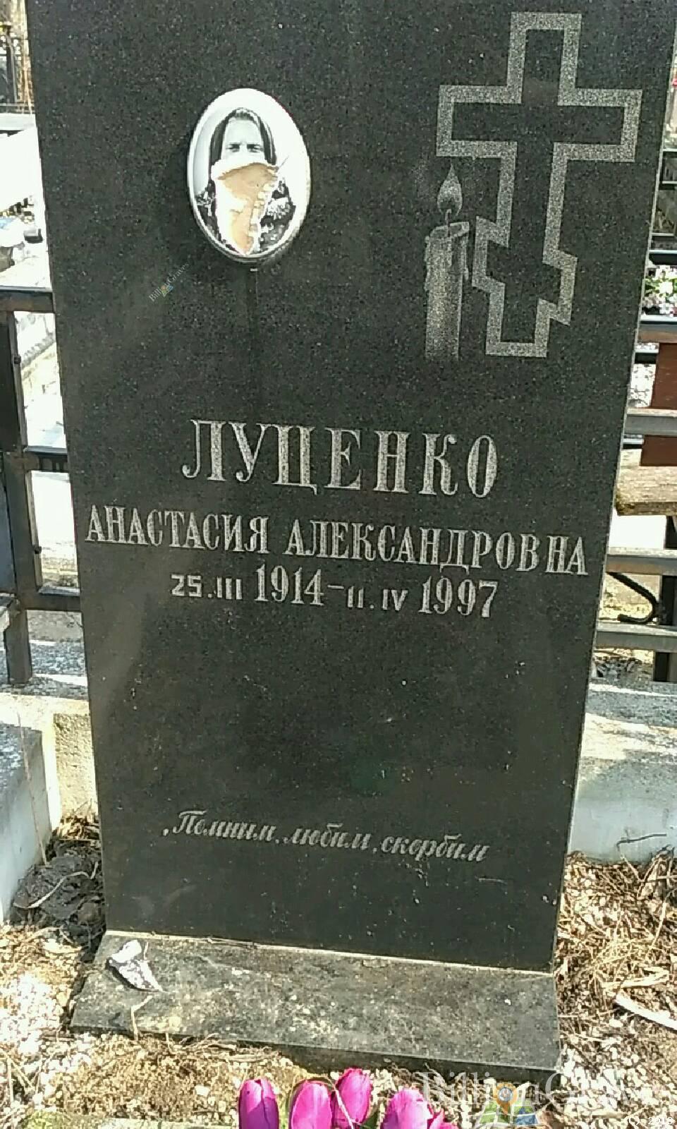 Луценко Анастасия Александровна