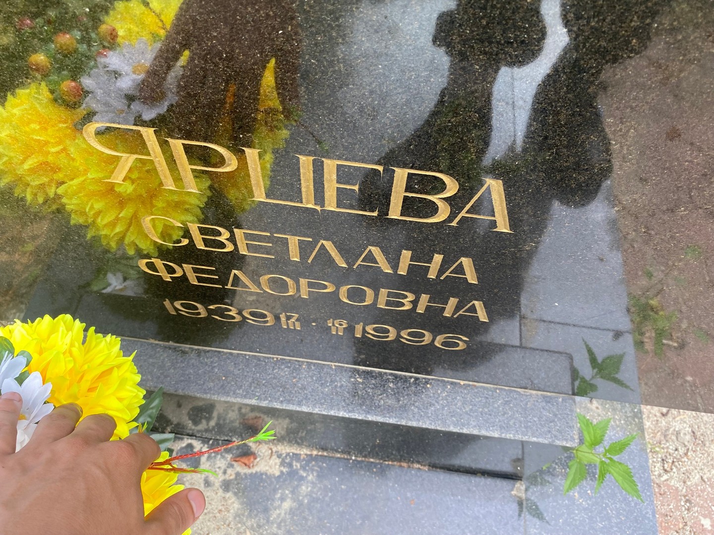 Ярцева