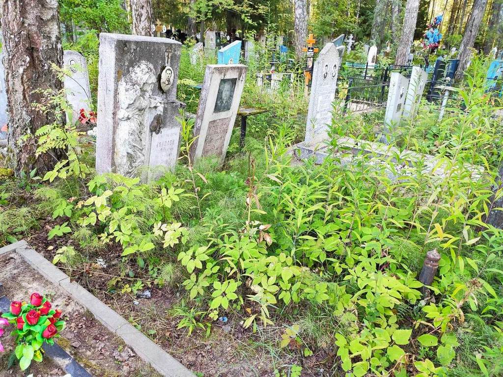 Соколов Константин Петрович
