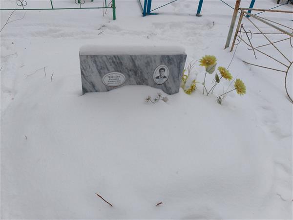 Тебенев Валентин Дмитриевич