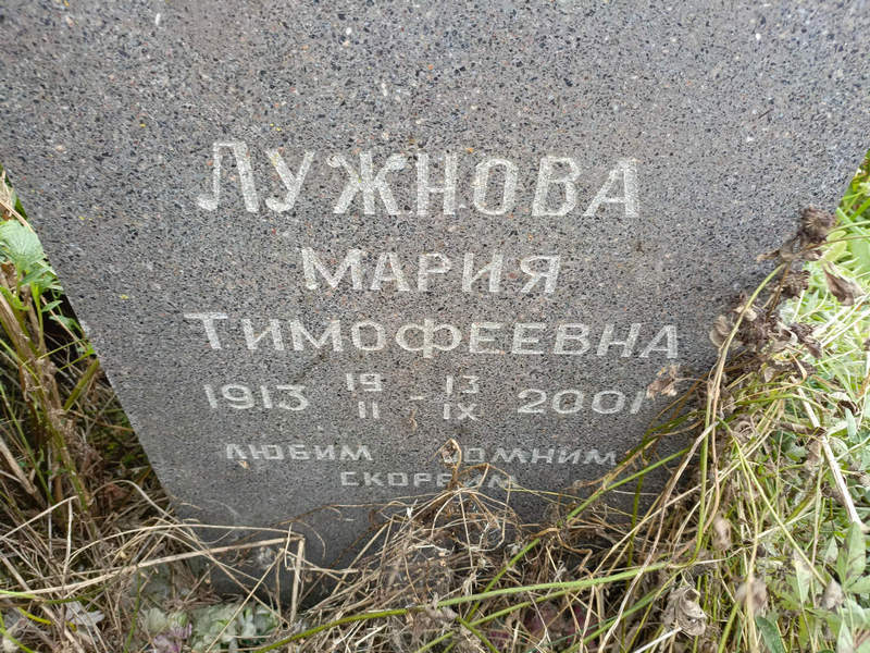 Лужнова