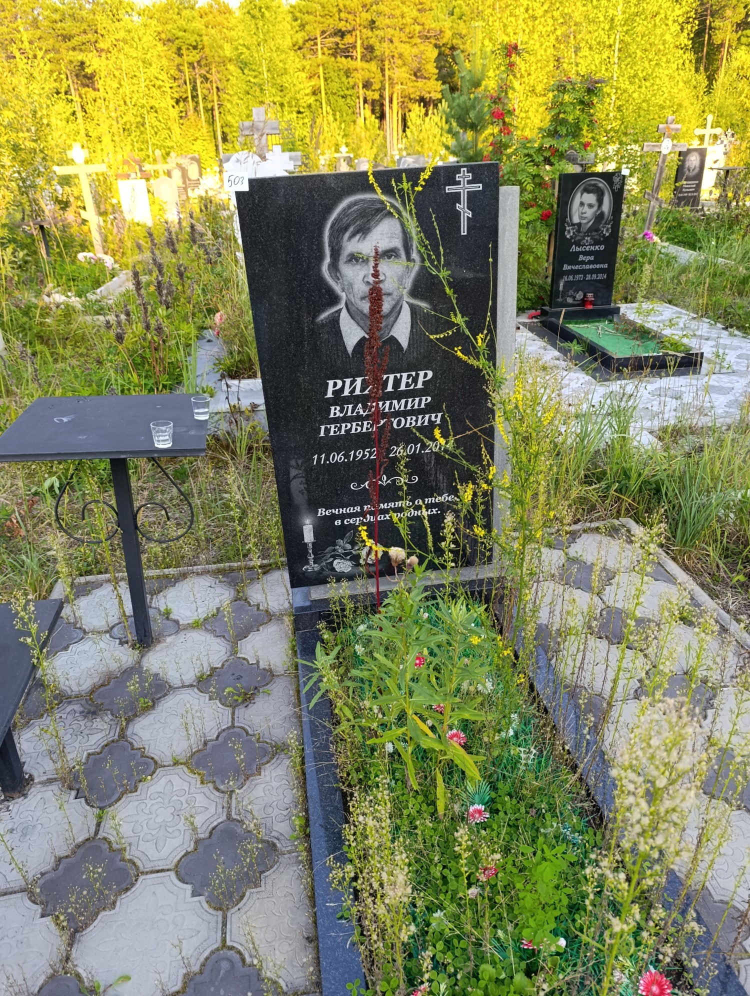 Рихтер Владимир Гербертович