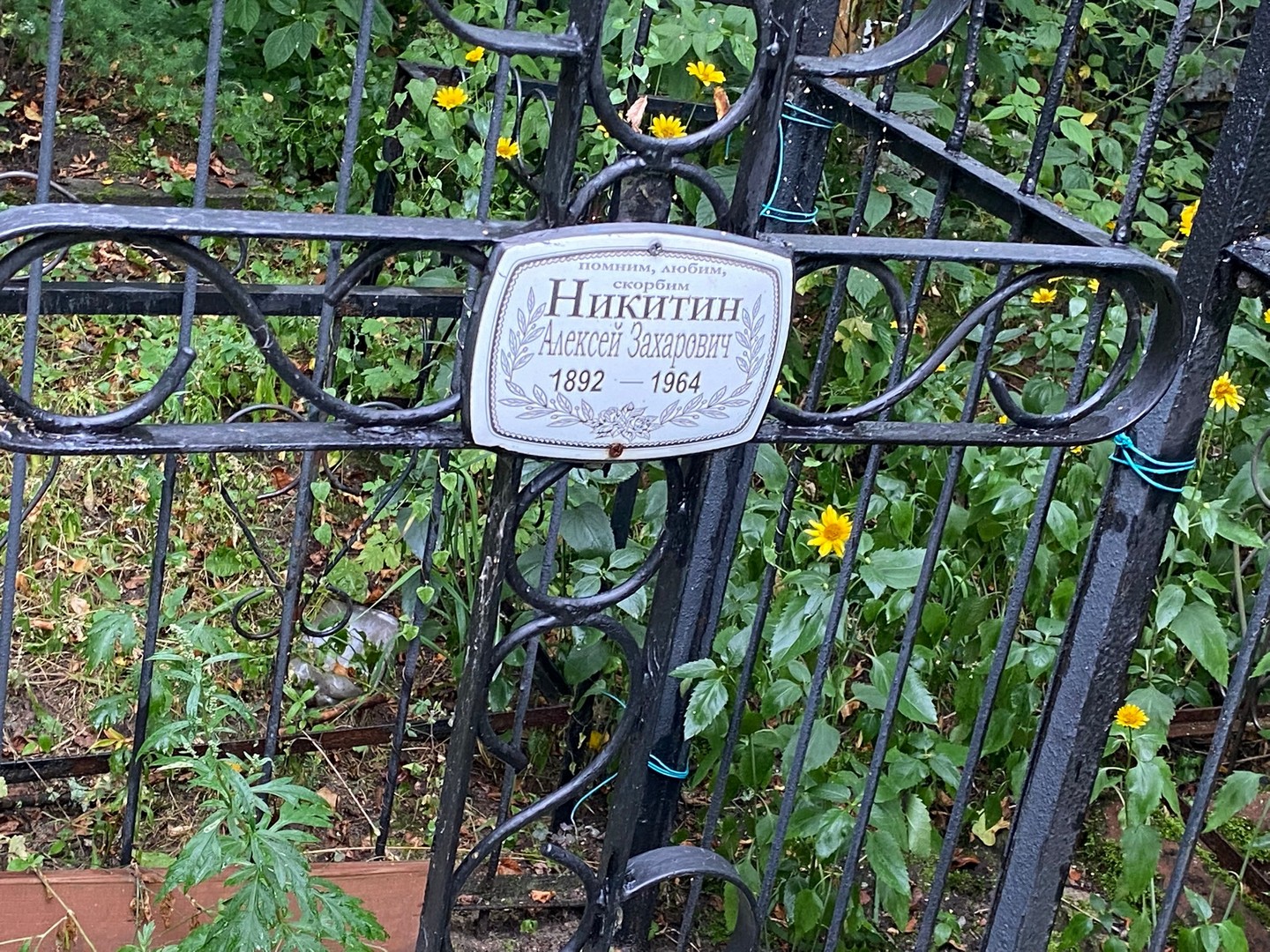 Никитин