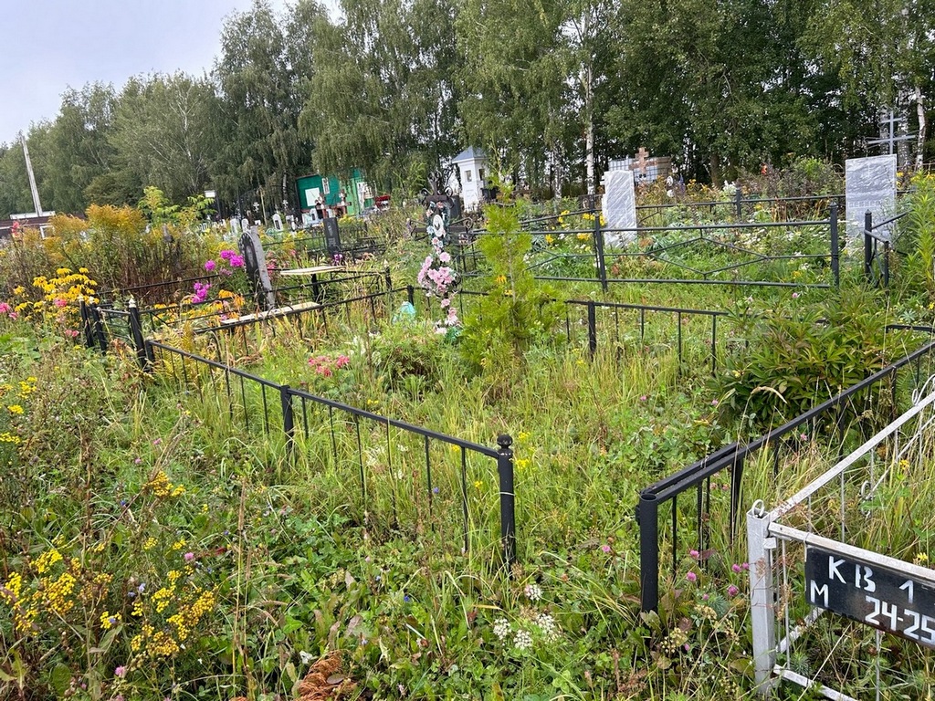 Синицина Анастасия Ивановна