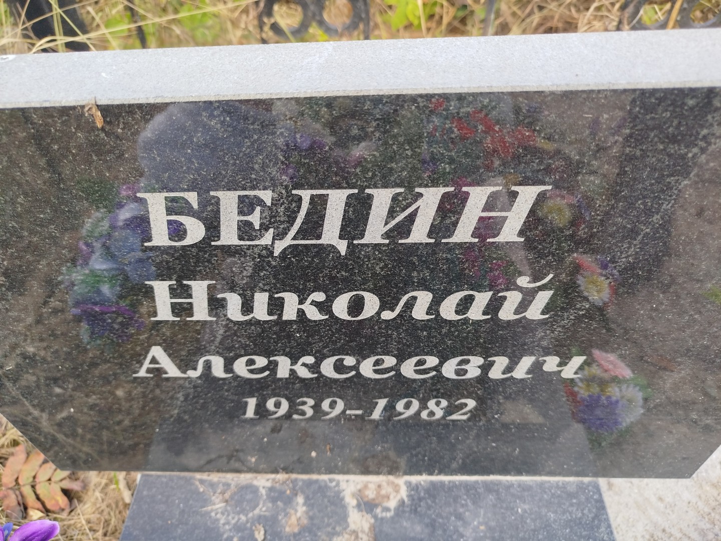 Бедин