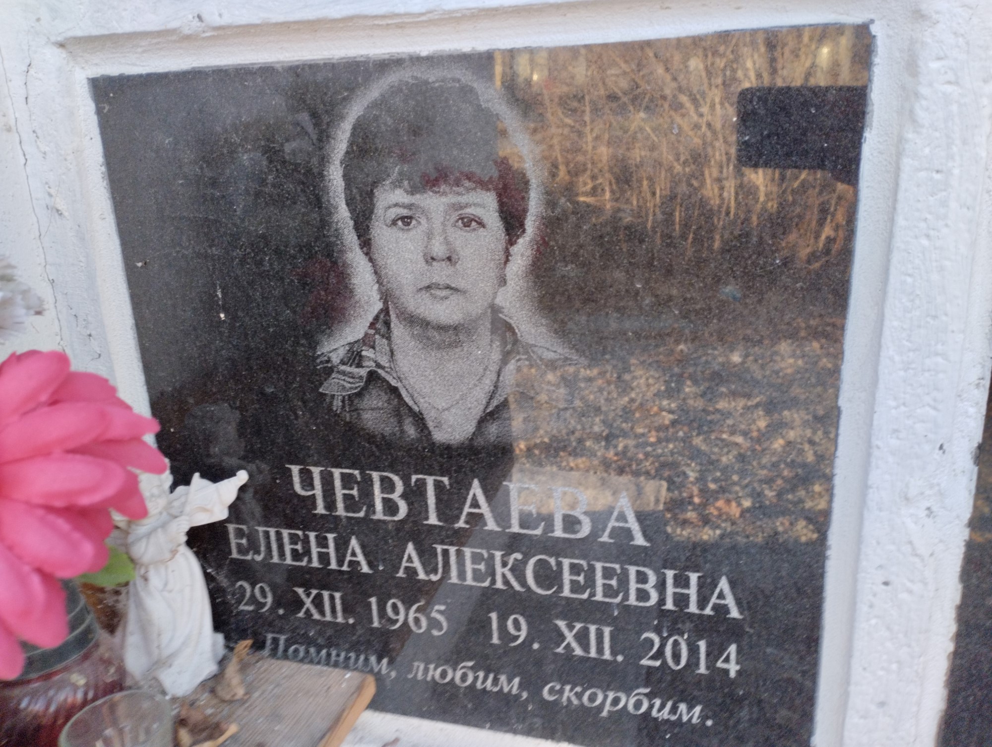 Чевтаева Елена Алексеевна