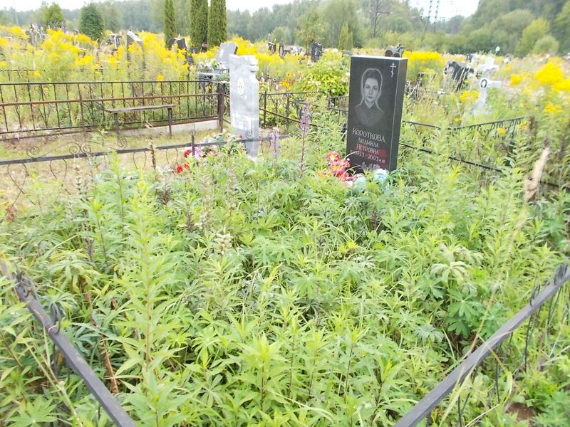 Короткова Людмила Петровна