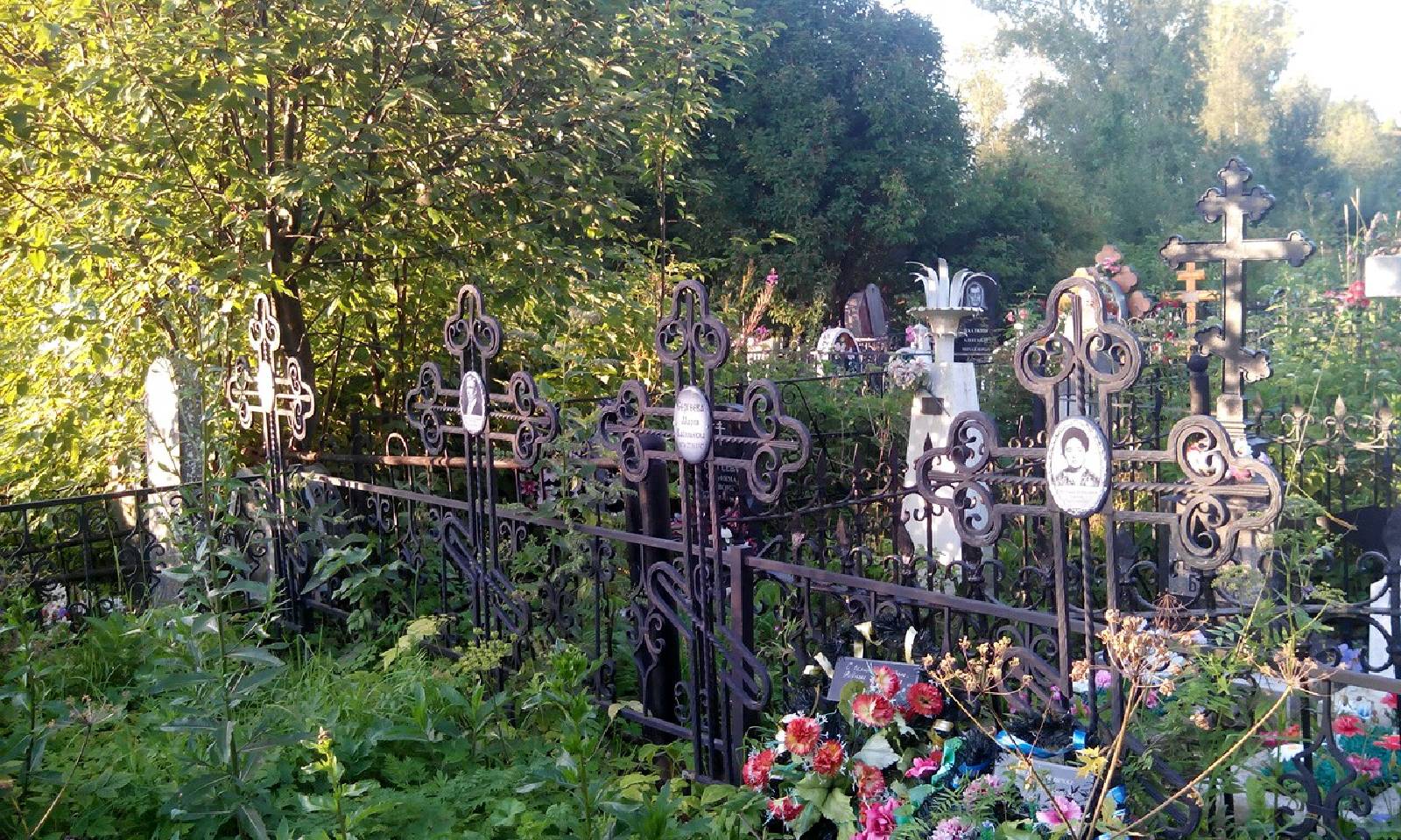 Антонов Николай Александрович