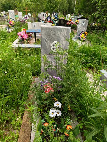 Медведев Юрий Георгиевич