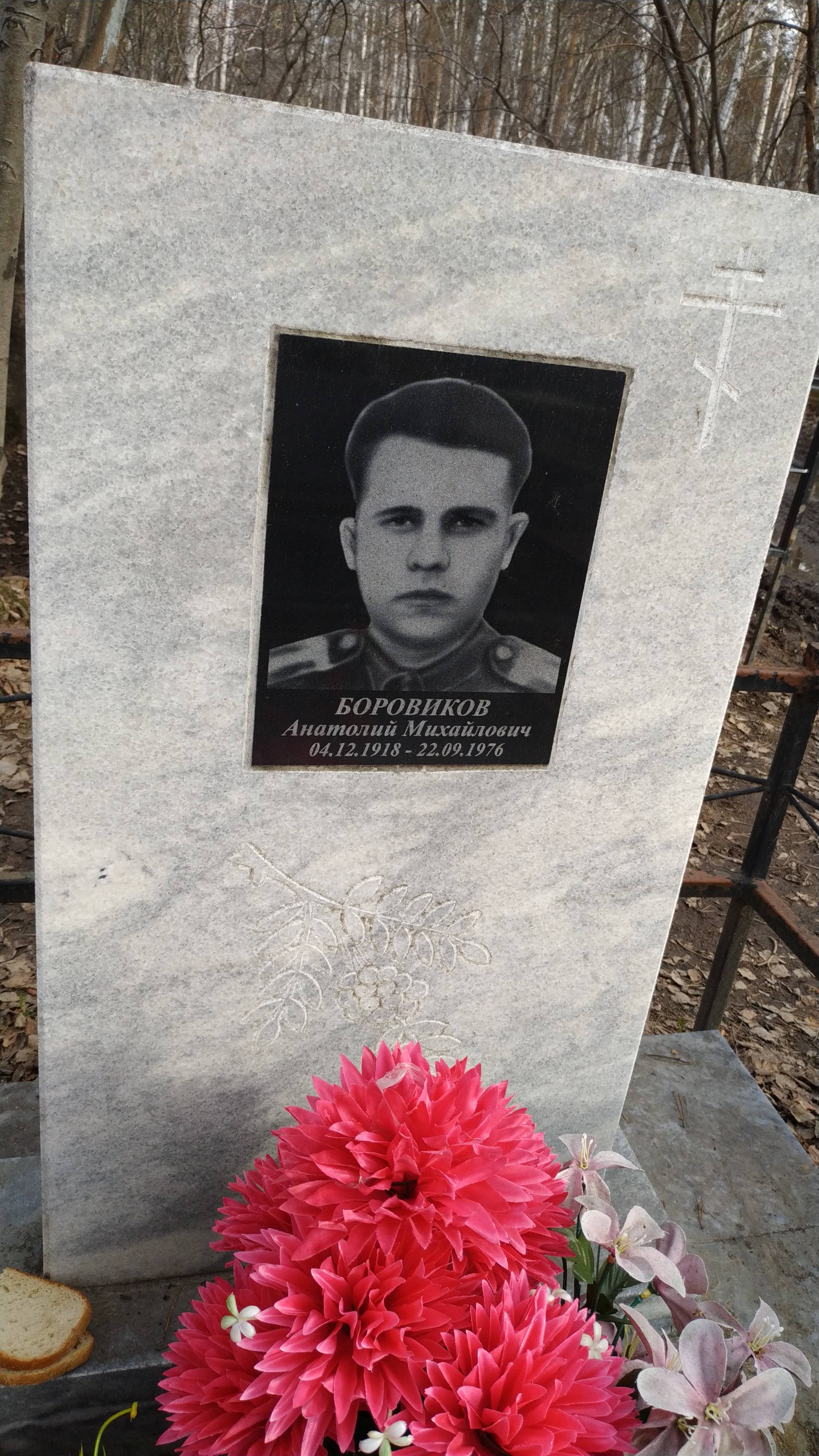 Боровиков Анатолий Михайлович
