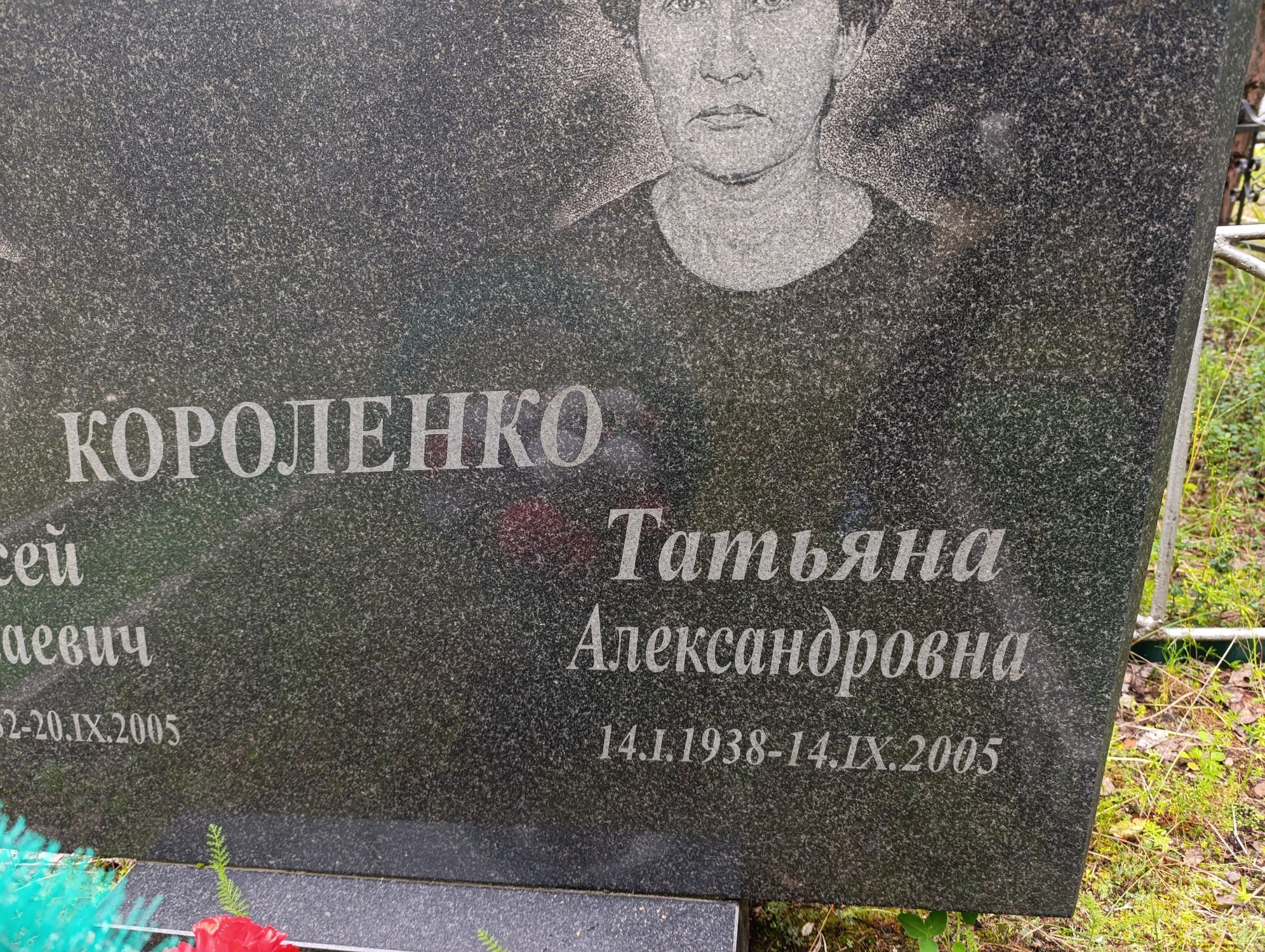 Короленко Татьяна Александровна