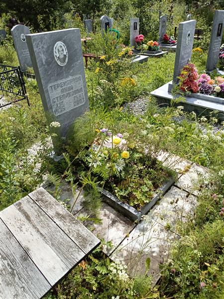 Тереханова Анна Степановна