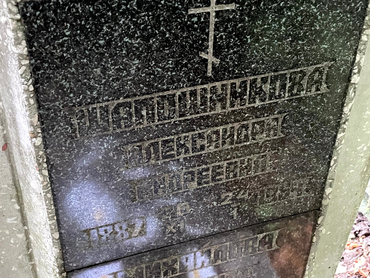 Шапошникова Александра Андреевна