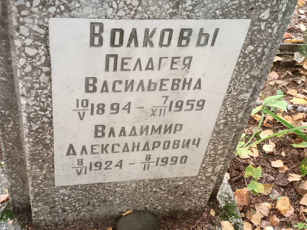 Волков Владимир Александрович