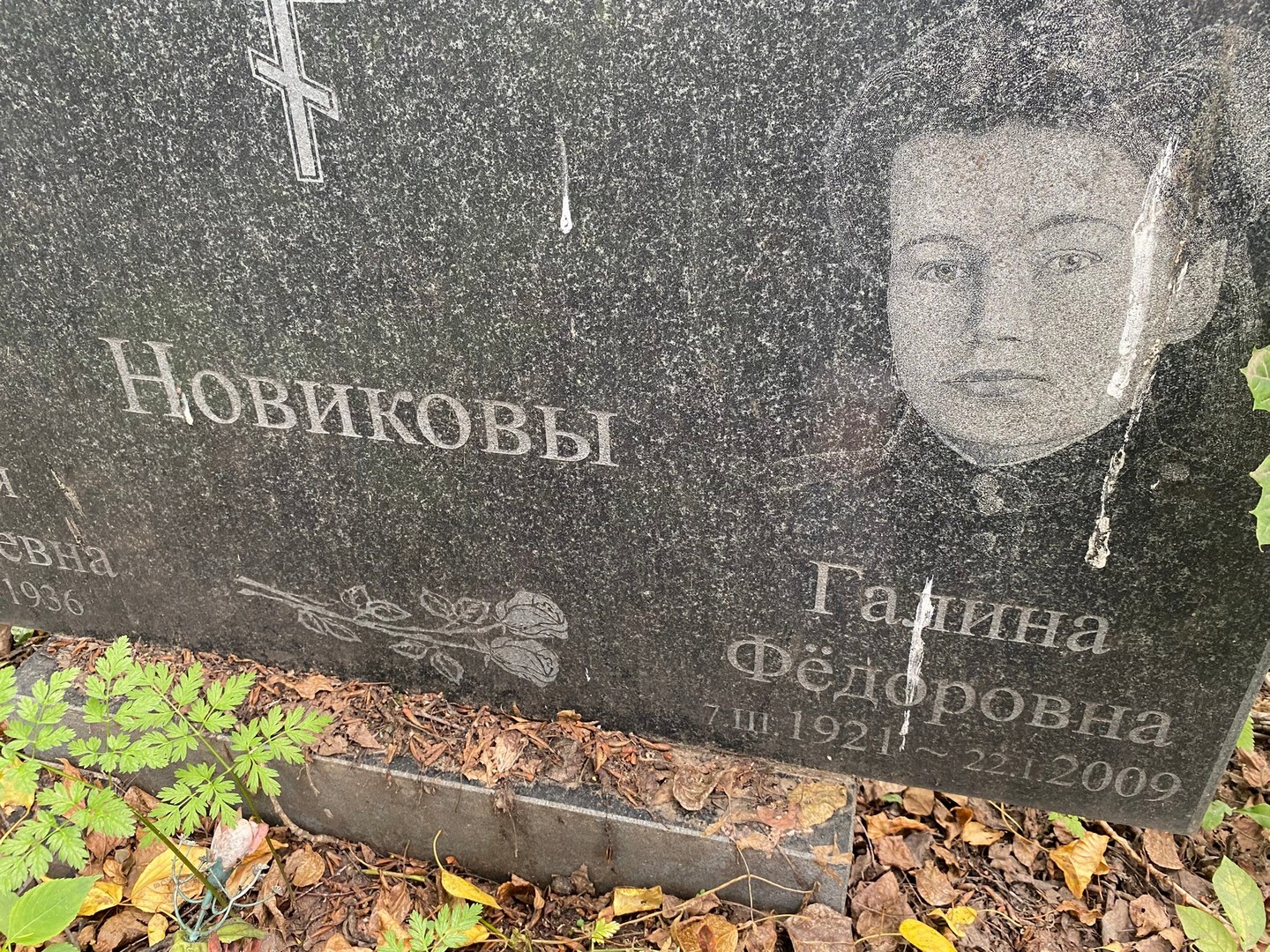 Новикова
