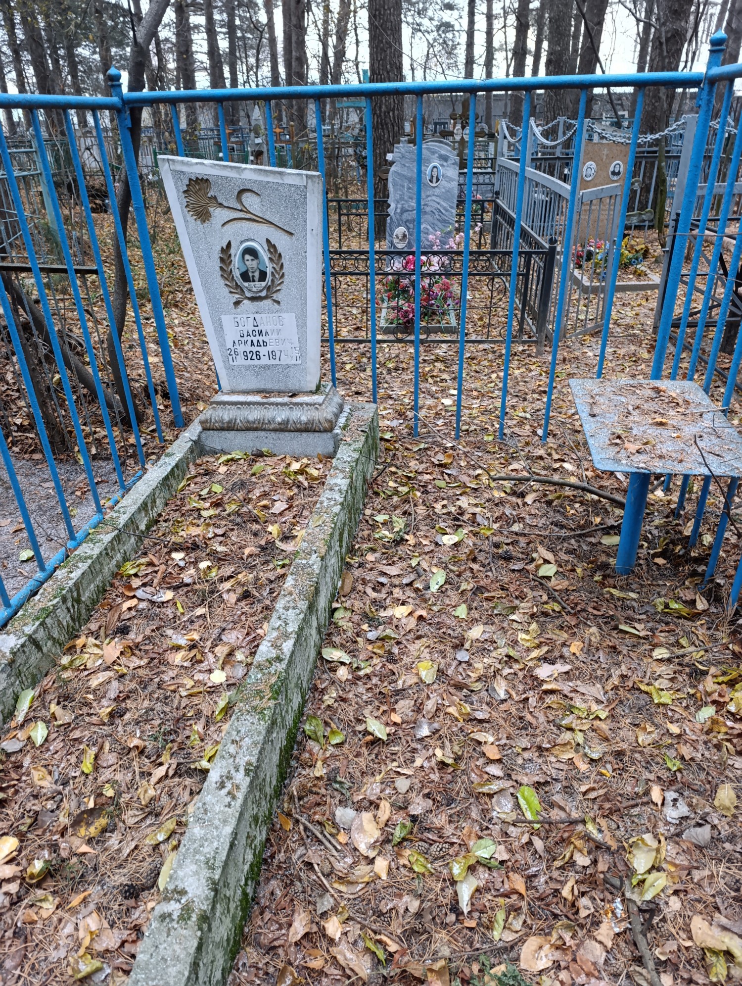 Богданов Василий Аркадьевич