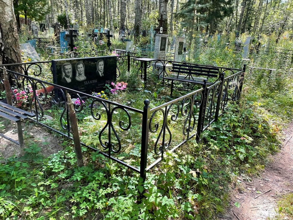 Удалов Дмитрий Александрович
