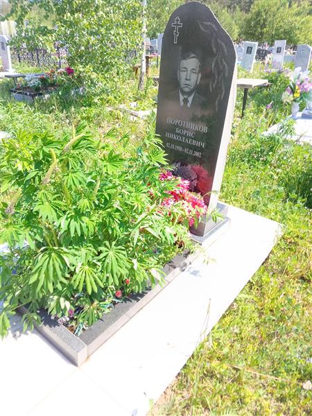 Поротников Борис Николаевич