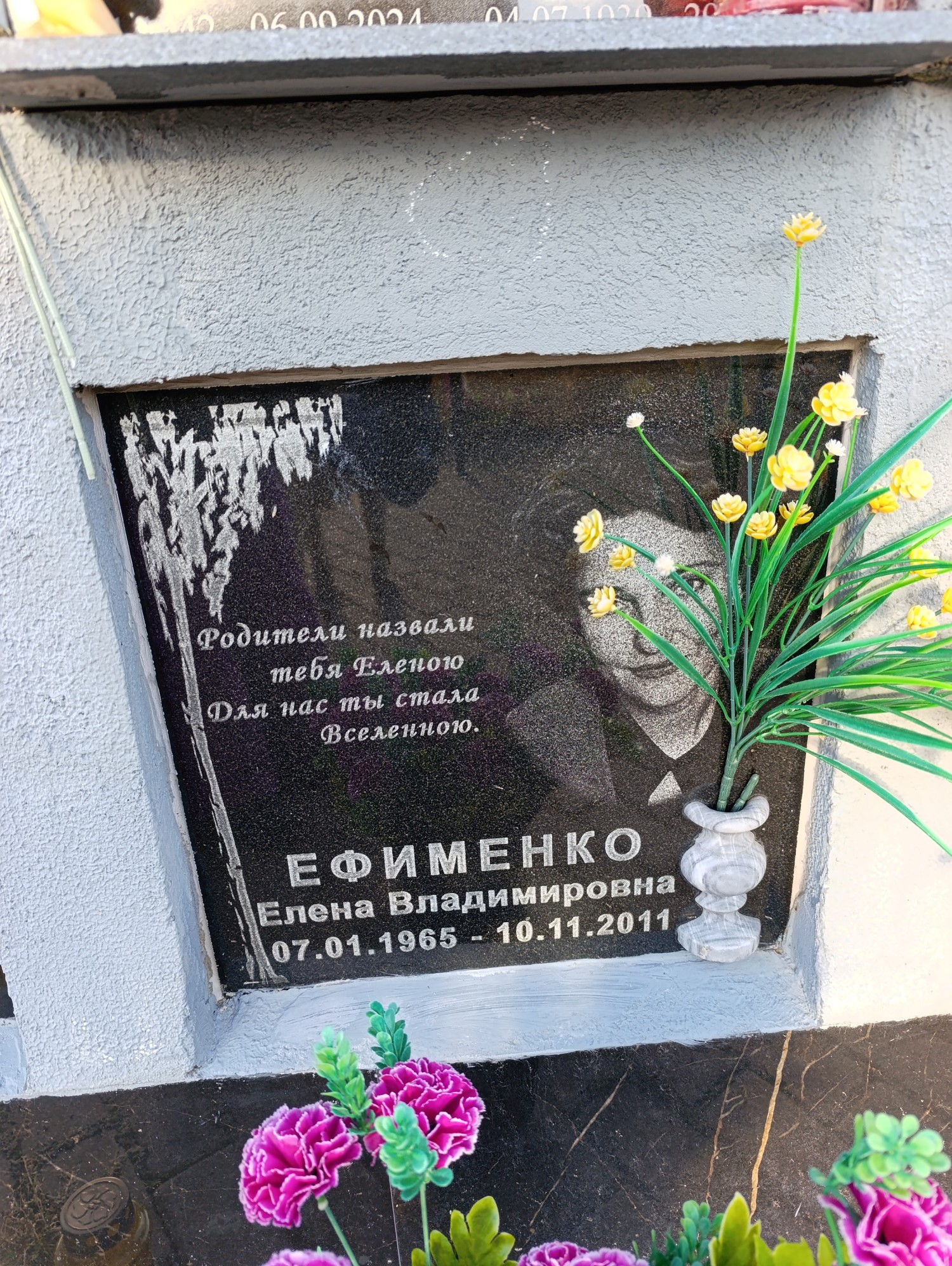 Ефименко Елена Владимировна