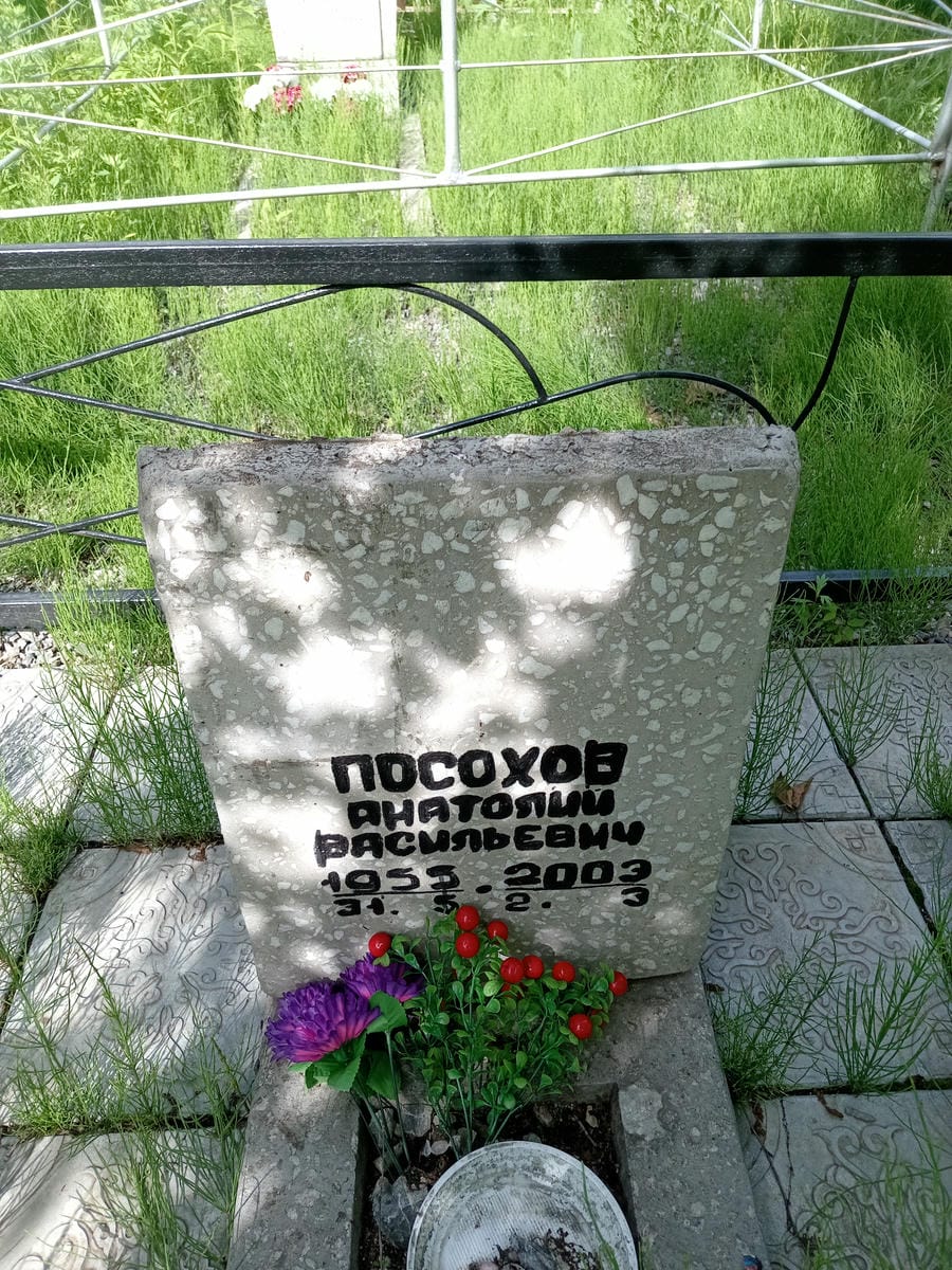 Посохов Анатолий Васильевич