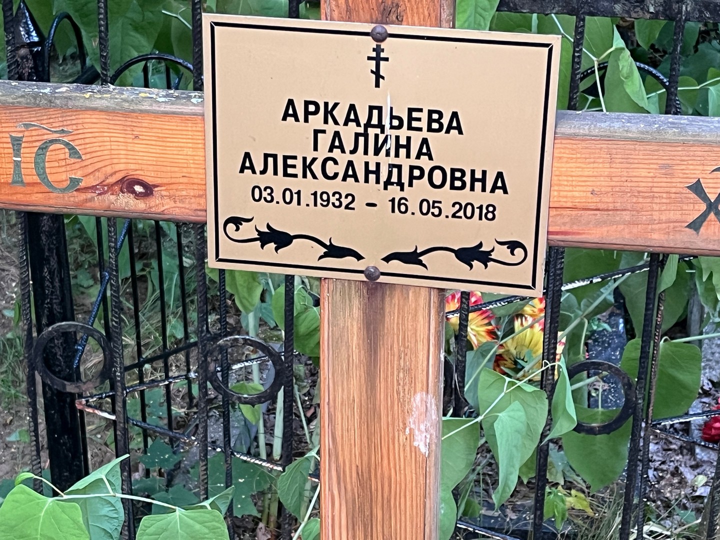Аркадьева