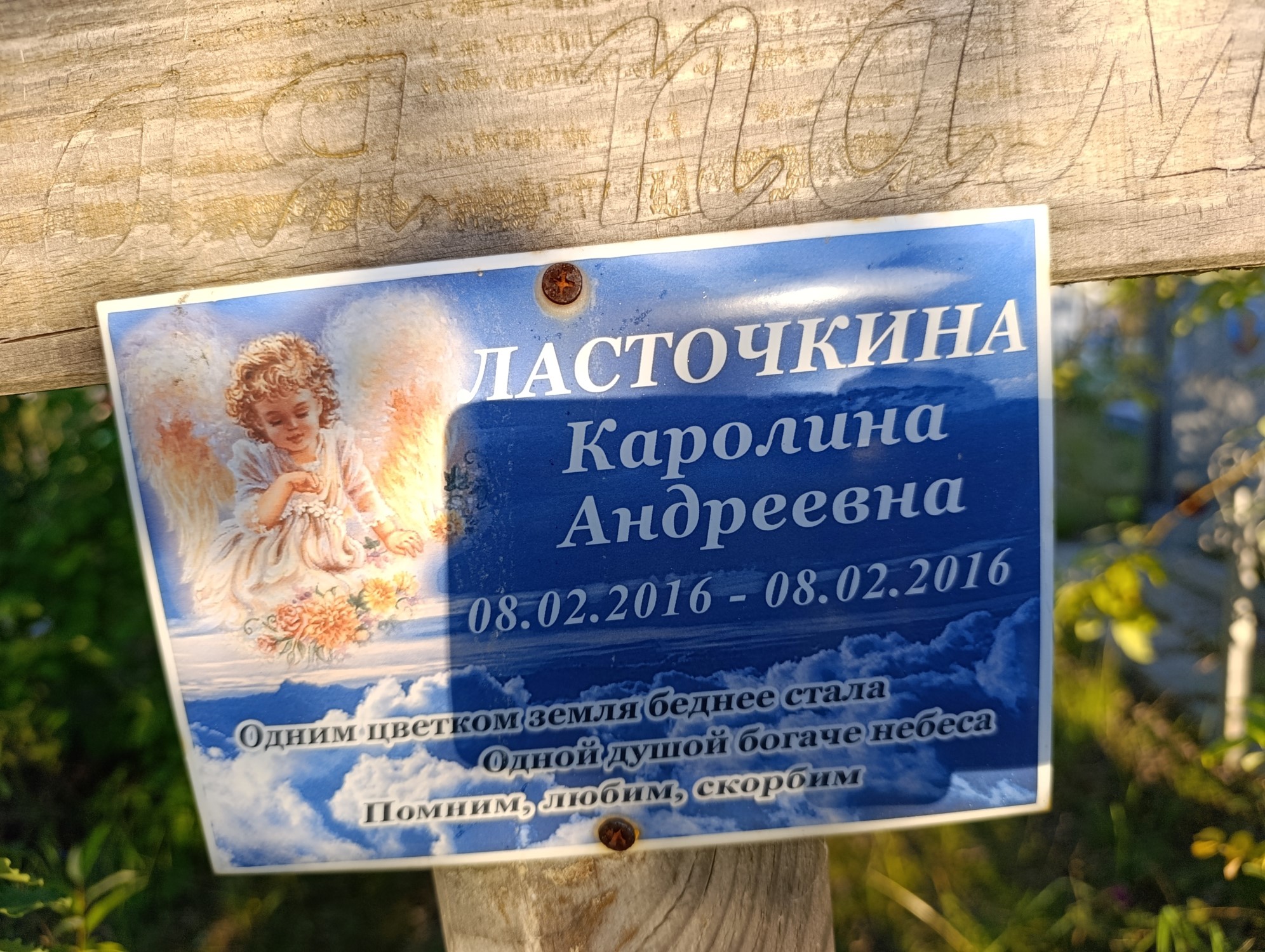 Ласточкина Каролина Андреевна