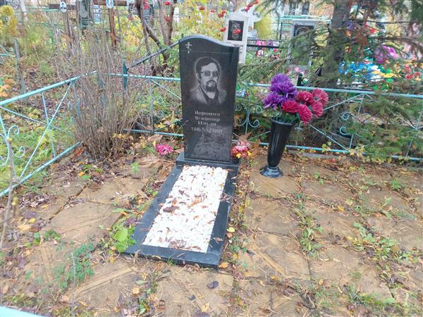 Воронин Владимир Ильич
