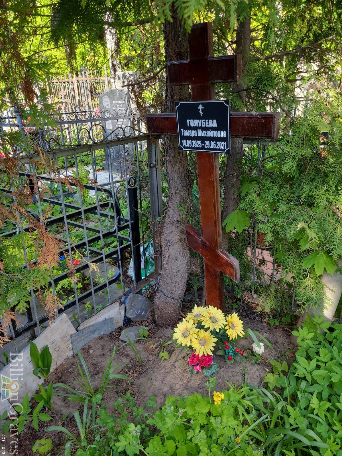 Голубева Тамара Михайловна
