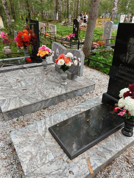 Бельков Дмитрий Ивойлович