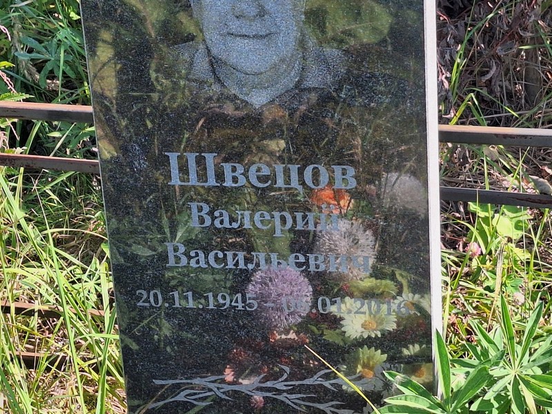 Швецов