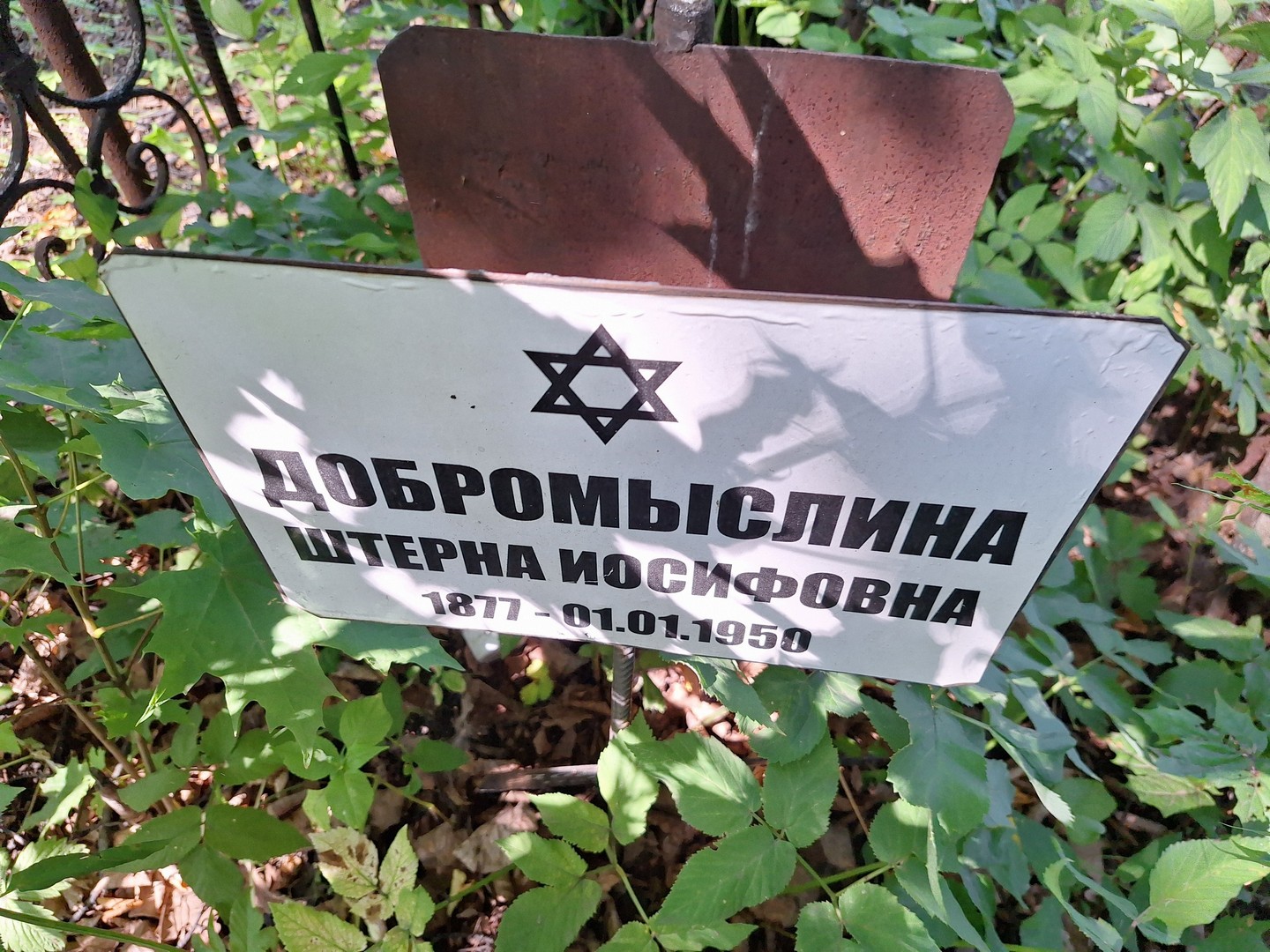 Штерна Добромыслина Иосифовна