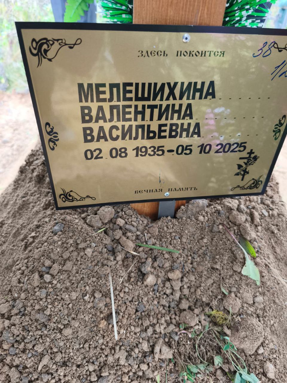 Мелешихина