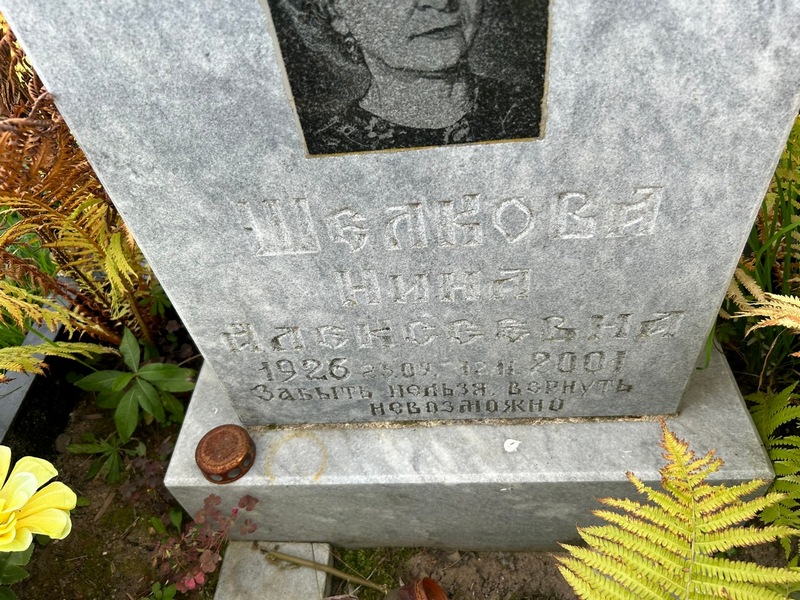 Шелкова