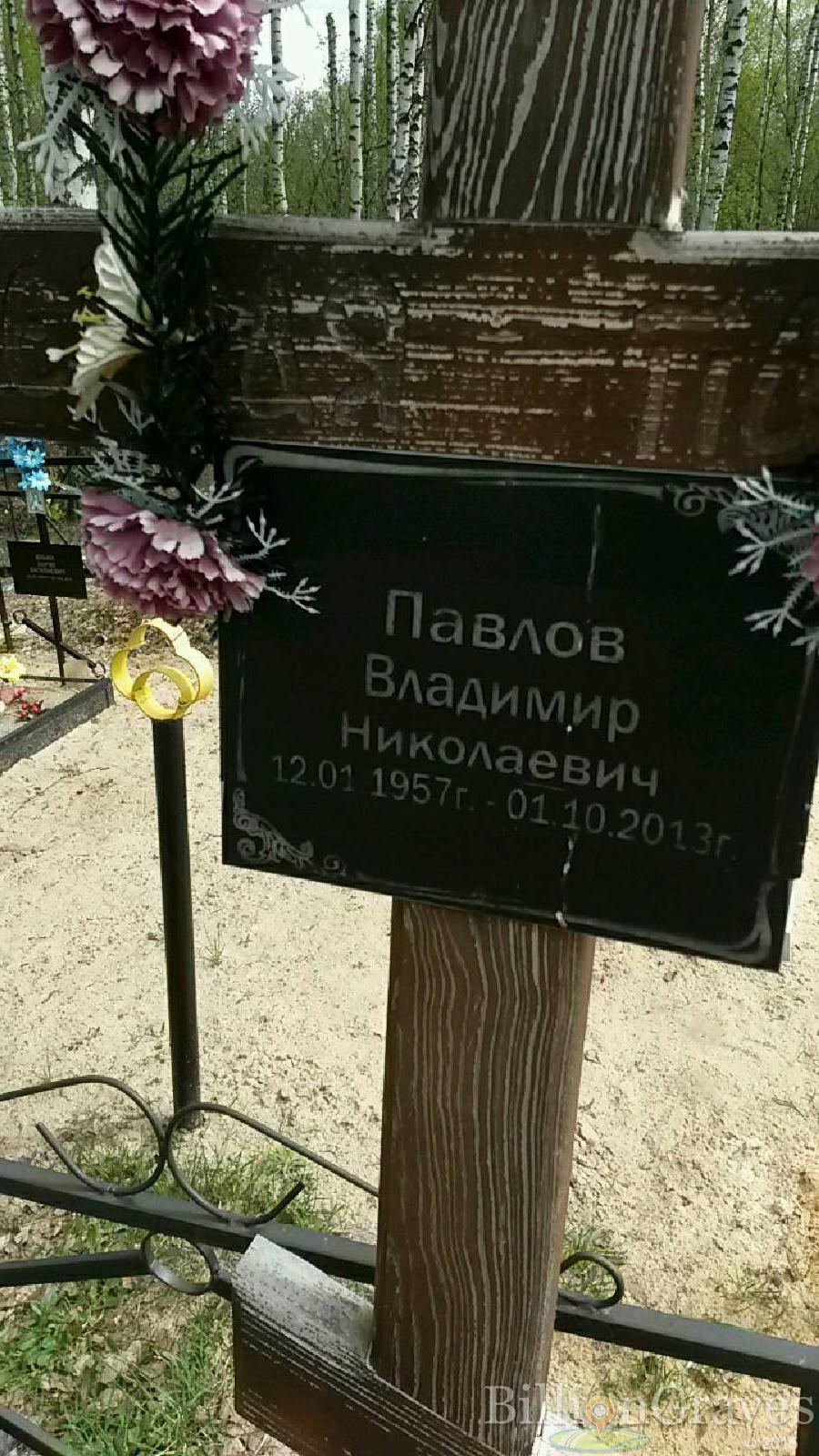 павлов владимир николаевич