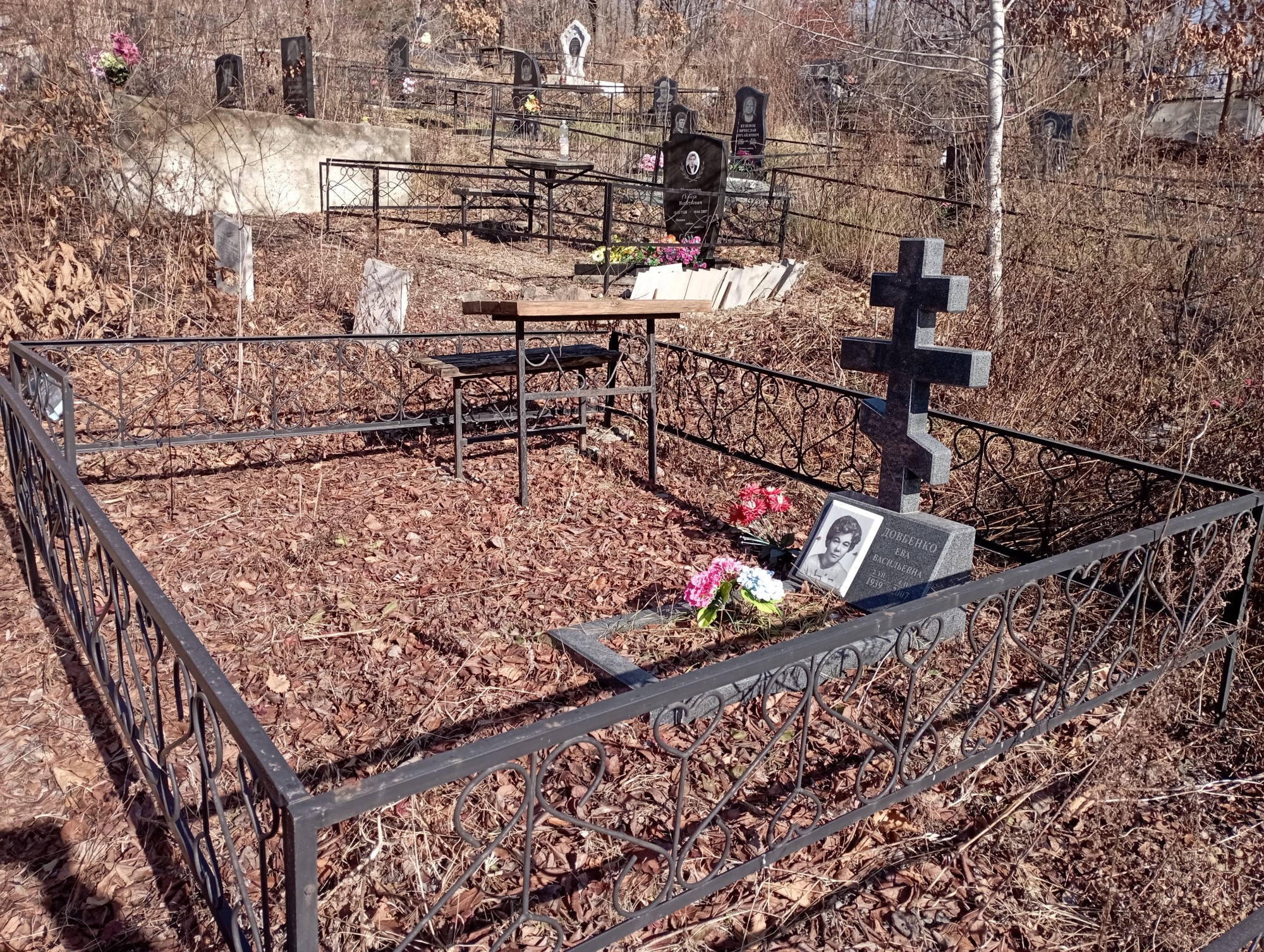 Довбенко Ева Васильевна