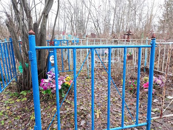 Береснев Андрей Васильевич