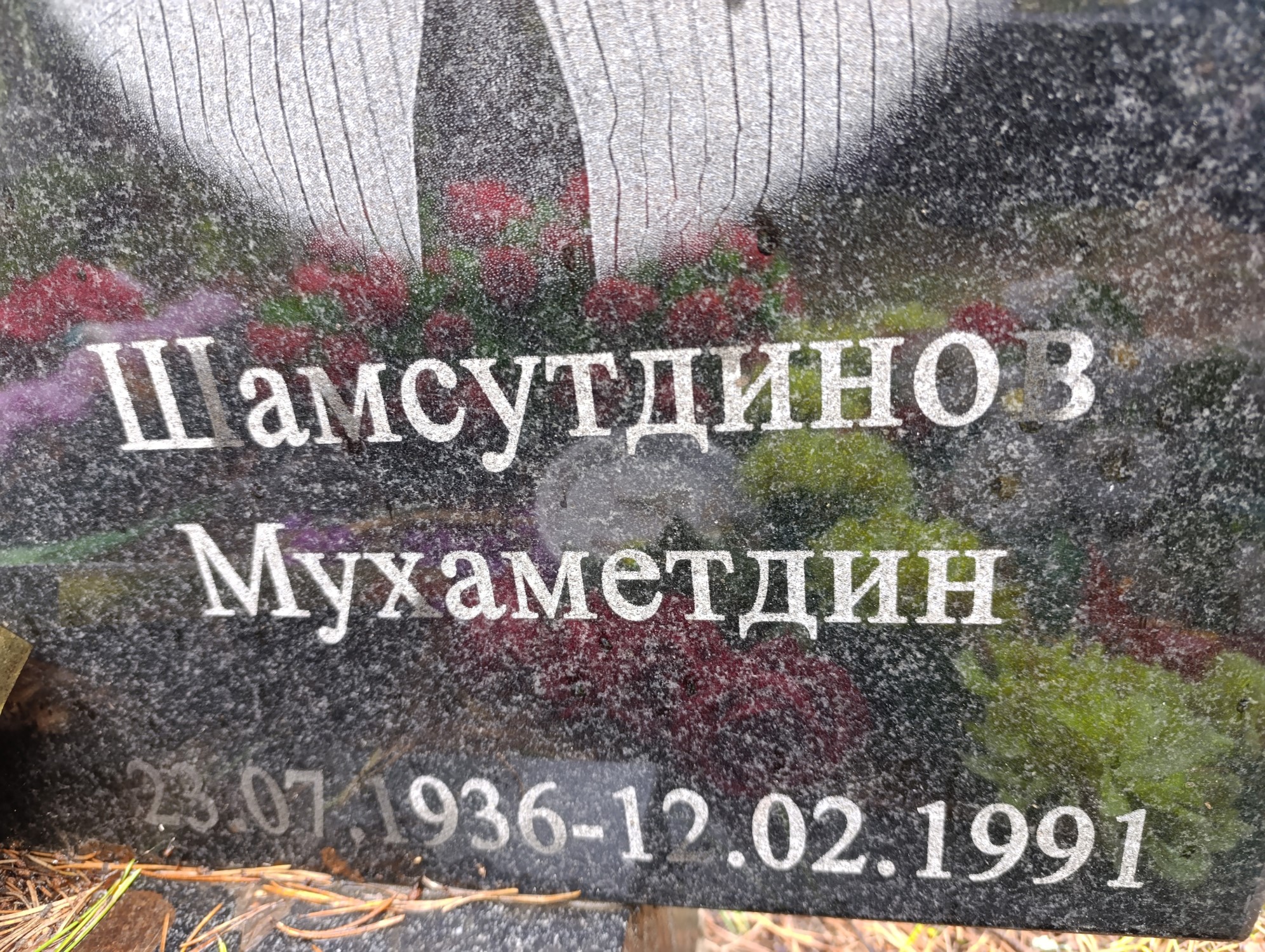 Шамсутдинов Махметдин