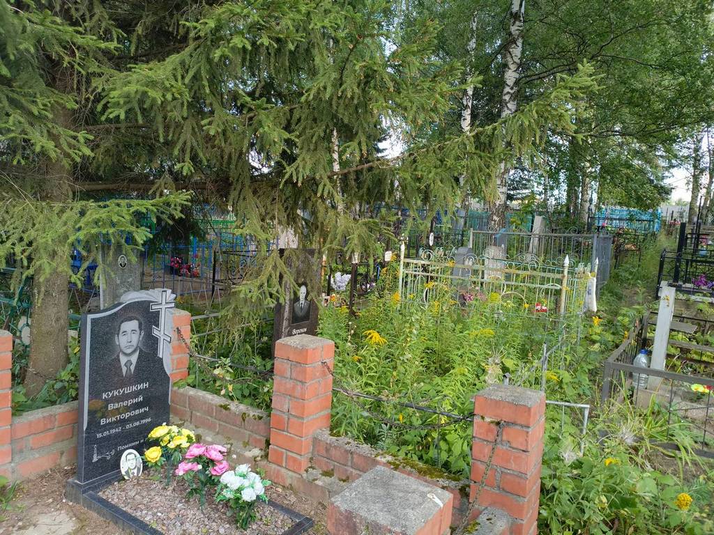 Воронов Жорж Николаевич