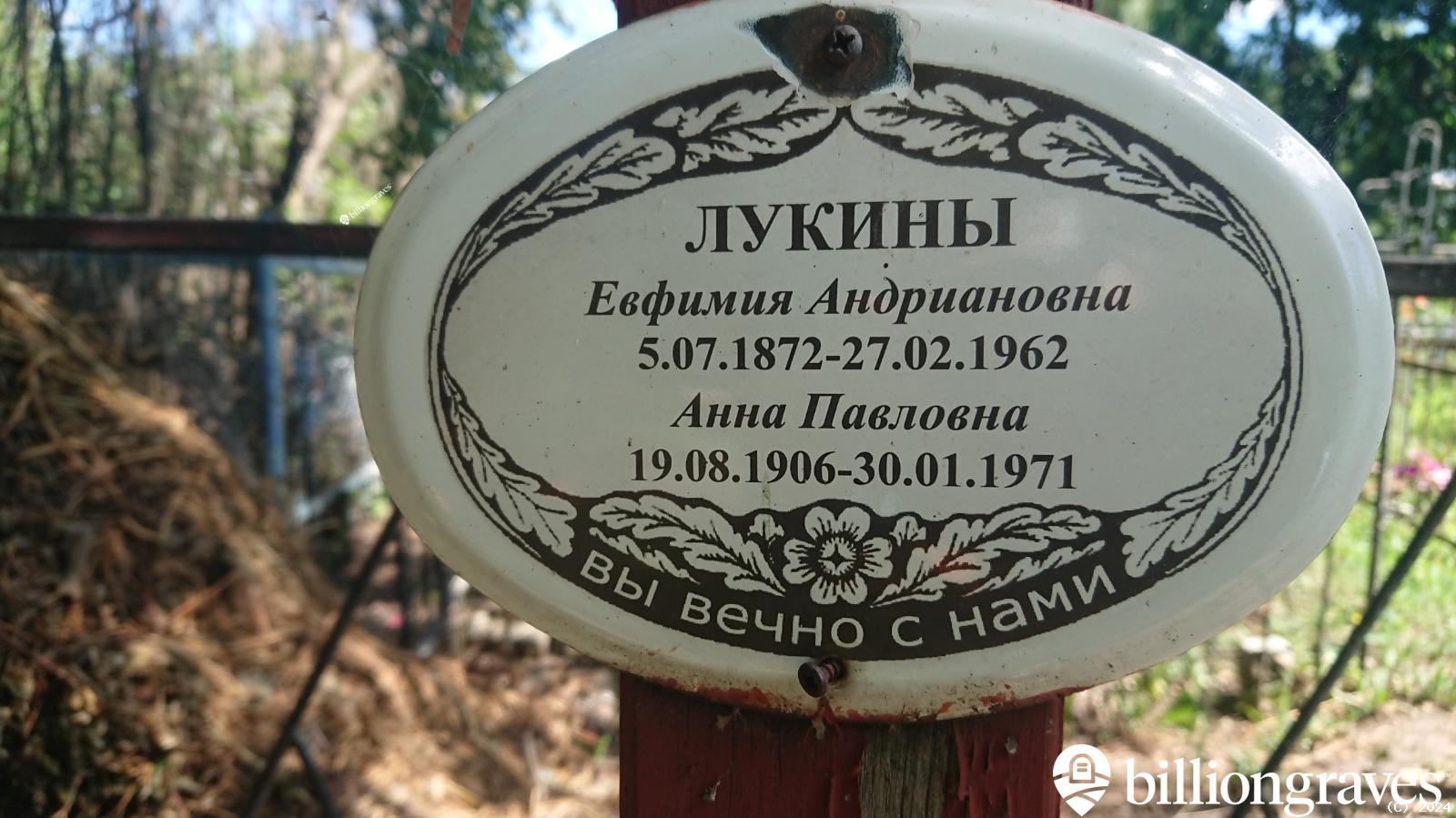 Лукина Анастасия Николаевна
