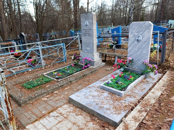 Шалаевских Анна Дмитриевна
