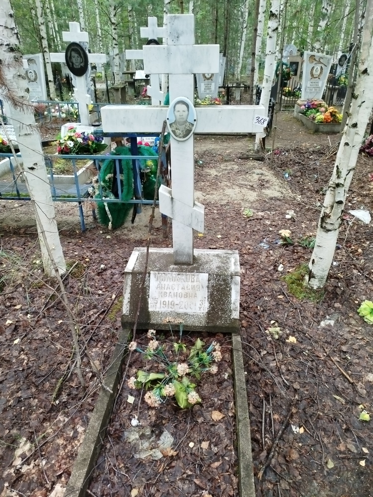 Головкова Анастасия Ивановна
