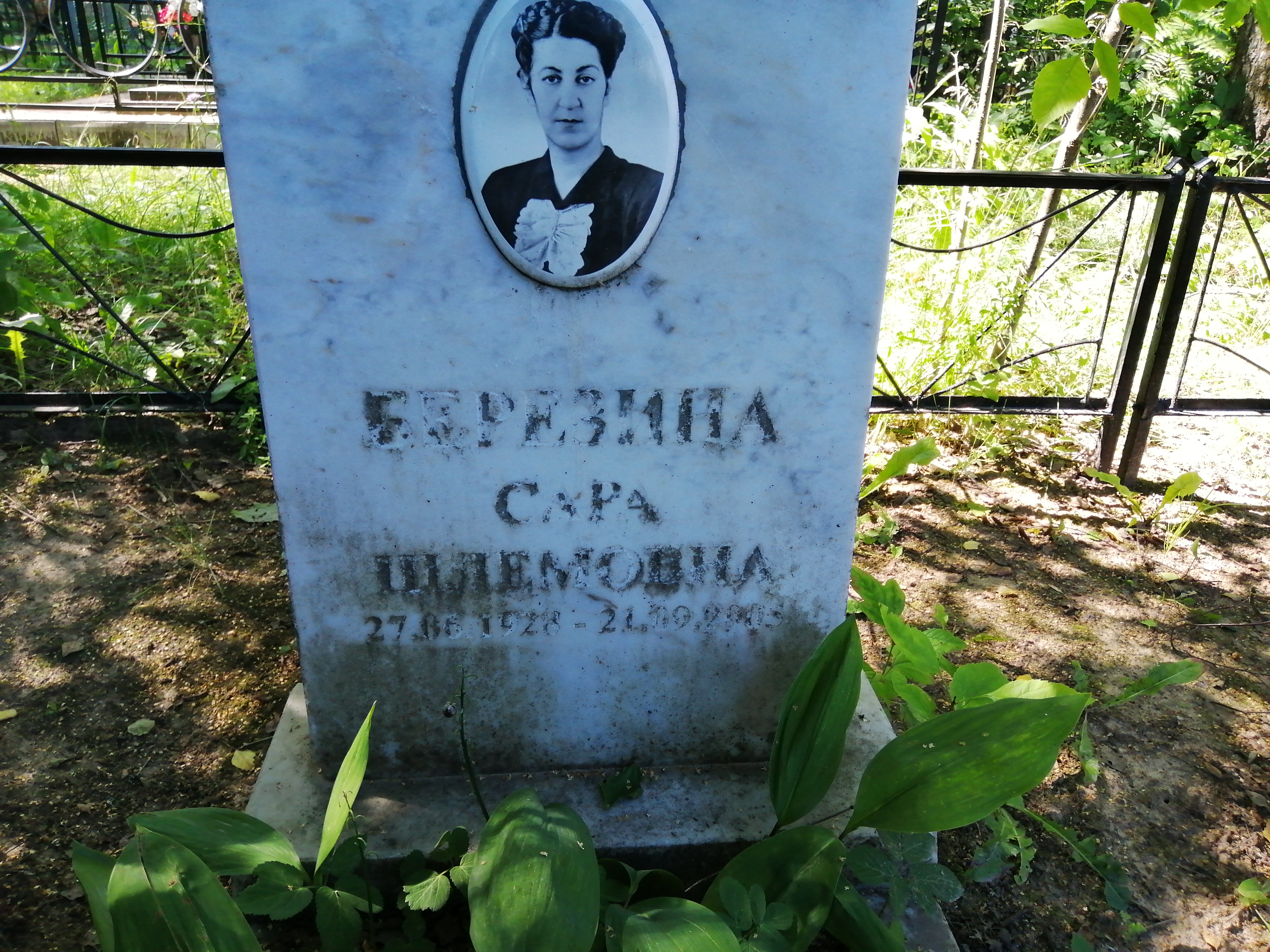 Березина Сара Шлемовна