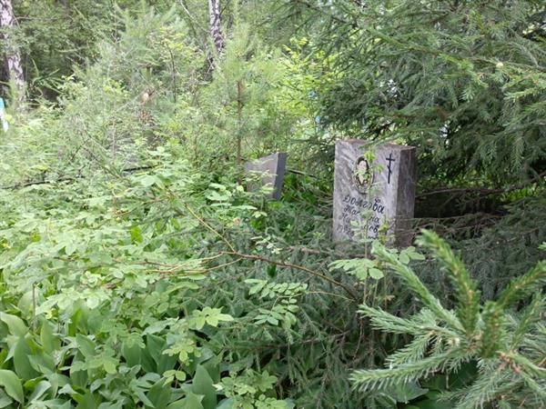 Долгова Татьяна Николаевна